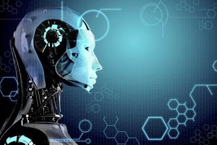 移动互联网技术 驱动创新的引擎与网络安全的守护者